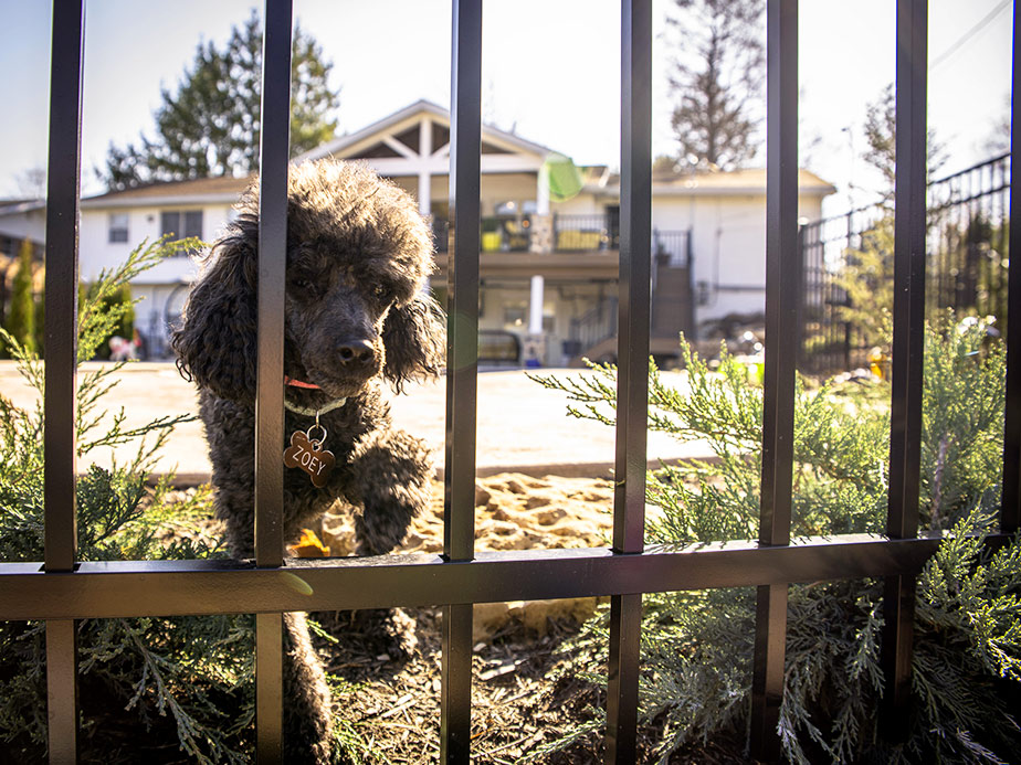 Aluminum pet fencing in Tulsa Oklahoma